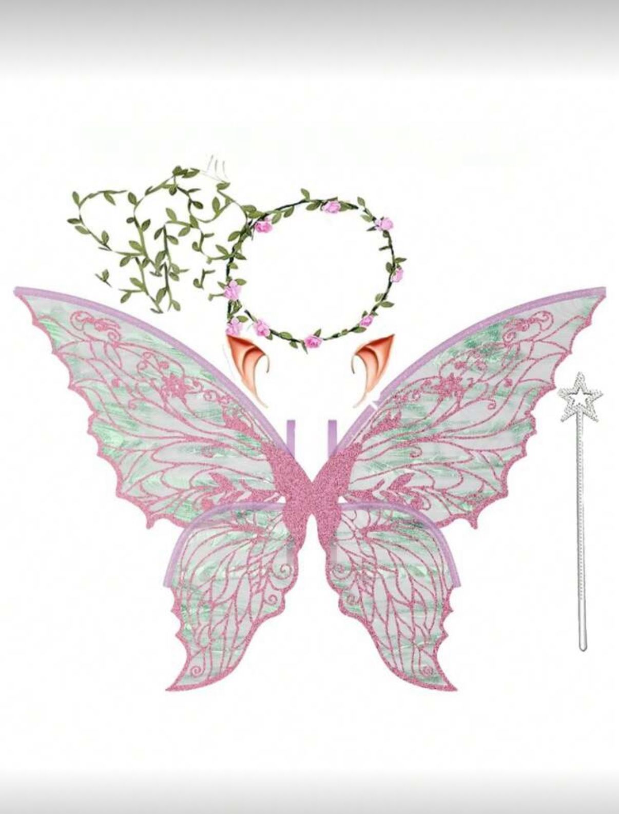 Winx Fiora